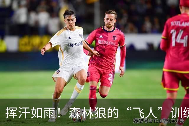 挥汗如雨！森林狼的“飞人”训练视频曝光！